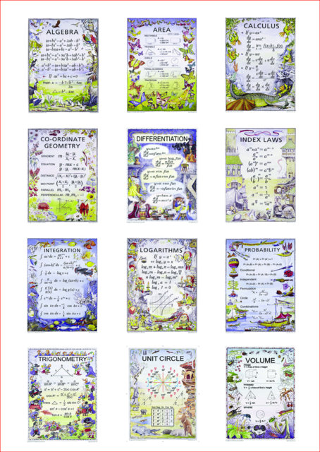 Educational Aid Senior Maths Poster Differentiation Math Poster.